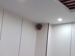 -一口猪海鲜浑锅·东北家常菜