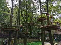 -WeLope紫金山探险公园