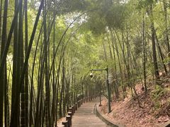 -敬亭山风景名胜区