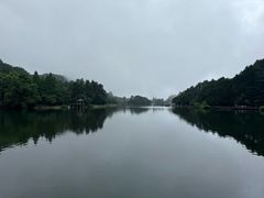 -庐山风景区花径公园
