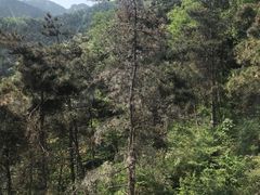 -沂蒙山旅游区云蒙景区(蒙山国家森林公园)