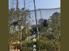 -合肥滨湖国家森林公园