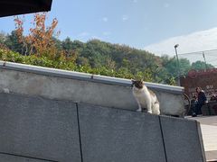 -UNI UNI(环亚凯瑟琳店)