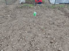 -西安软件新城软件研发基地2期