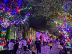 -秋水广场音乐喷泉