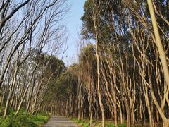 -同里国家湿地公园
