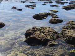 -日月湾海门游览区