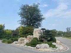 -水西公园
