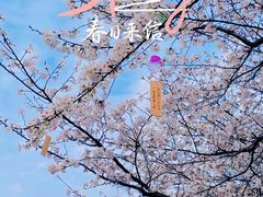 -堤角公园