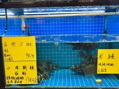 -醉壹号海鲜大排档(厦门美食地标店)