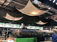 -圣罗巴海鲜自助(黑金店)