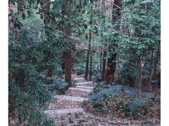 -南岗山公园