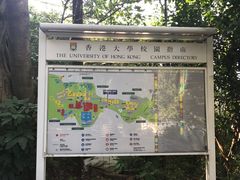 -香港大学