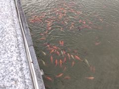 -哈尔滨师范大学(江南校区)