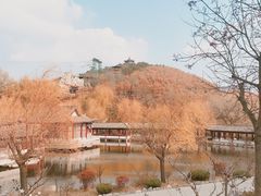 -威海华夏城景区