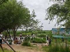 -绿堤公园