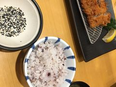 -胜博殿日式炸猪排(西红门店)