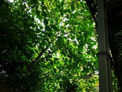 -公寓家常菜馆(海军博物馆店)