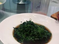 -沪碟·精菜坊(闵行店)
