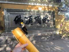 -普陀山慧济禅寺