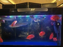 -海天楼中餐厅(吴宫泛太平洋酒店)