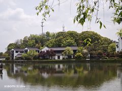 -鲁镇