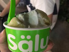 -Salud撒露欧洲冻酸奶(蓝色港湾店)