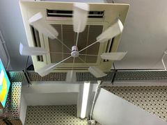 -义顺牛奶公司(新马路老店)