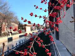-大明幻境第一城