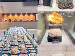-中华赏石园