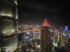 -上海柏悦酒店