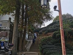 -西湖风景区十里琅珰-五云山