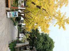 -东山雕花楼
