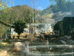 -泉州海丝野生动物世界