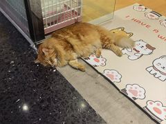 -海底捞火锅(西安路店)