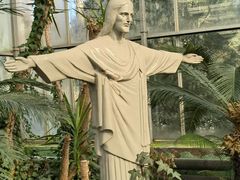 -南宫五洲植物乐园