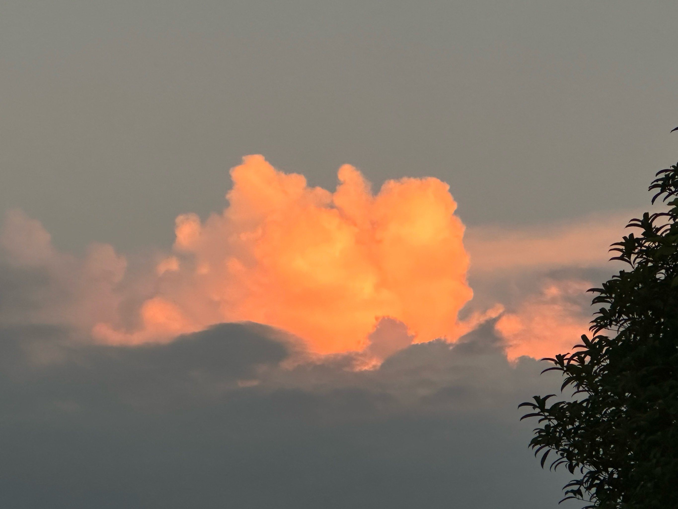cloud and moon 云穿月
