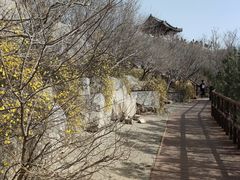 -千佛山风景名胜区