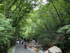 -本溪汤沟绿石谷森林公园