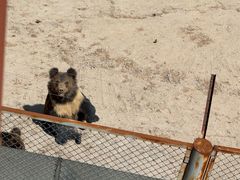-青藏高原野生动物园