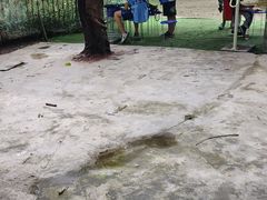 -勇士之星真人CS·团建·拓展(清水河公园店)