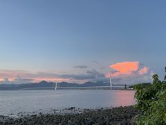 -深圳湾公园(南山区)