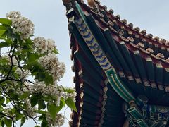 -吴裕泰茶庄(鼓楼店)