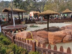 -大连森林动物园