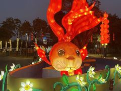 -琅岐红光湖公园