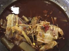 -胖娃古镇鸡杂(磁器口总店)