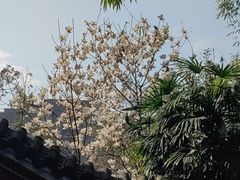 -望江楼公园