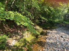 -关门山森林公园