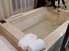 -宜春明月山维景国际温泉度假酒店