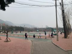 -府君山公园
